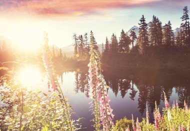 Washington, ABD 'de Shuksan Dağı yansımalı Scenic Picture Gölü