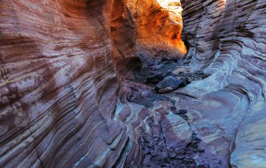 Utah, ABD 'deki Grand Staircase Escalante Ulusal Parkı' ndaki Slot Kanyonu. Utah çöllerindeki alışılmadık renkli kumtaşı oluşumları yürüyüşçüler için popülerdir. Canlı mercan tonu.