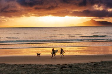 Yeni Zelanda 'da okyanus sahilinde sörfçüler