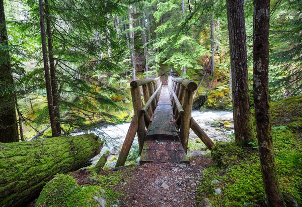 山溪上的木桥 — 图库照片