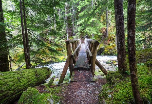 Holzbrücke Über Einen Gebirgsbach — Stockfoto