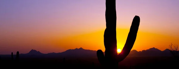 Landscapes Atas Pinggiran Kota Tucson — Stok Foto