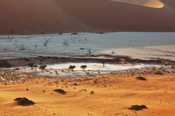 Дюни Мертві Акації Пустелі Наміб Мертвий Влей Соссуфлей Намібія Африка — стокове фото
