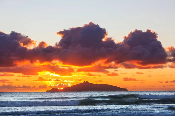 Beautiful Landscapes Ocean Beach New Zealand Inspiring Natural Travel Background — Stock Photo, Image