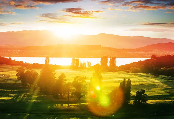 Hermoso Paisaje Rural Nueva Zelanda Verdes Colinas Árboles —  Fotos de Stock