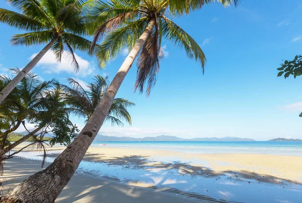 熱帯のビーチで美しい夏の風景 — ストック写真