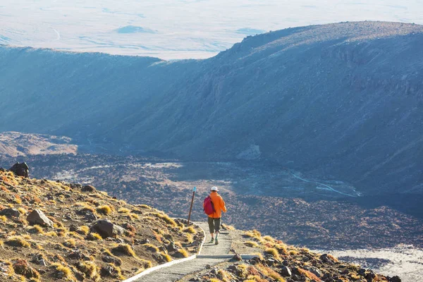 Mann Wandert Auf Wanderweg Mit Neuseeländischem Vulkan Trampen Wandern Reisen — Stockfoto