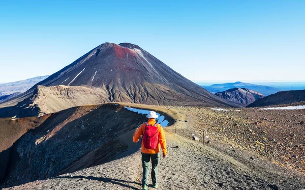 Paysages Volcaniques Insolites Sur Piste Tongariro Crossing Parc National Des — Photo