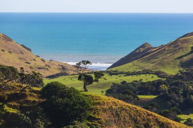 Ocean Beach, Yeni Zelanda 'da güzel manzaralar var. İlham verici doğal ve seyahat geçmişi