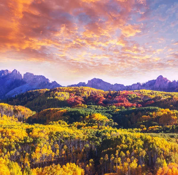 Kleurrijke Gele Herfst Colorado Verenigde Staten Herfstseizoen — Stockfoto