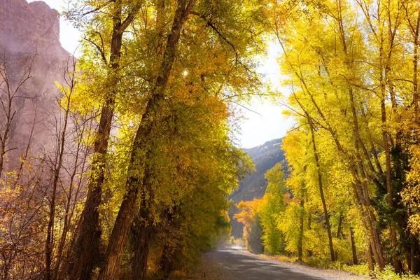 Bunte Herbstszene Auf Der Landstraße Wald — Stockfoto