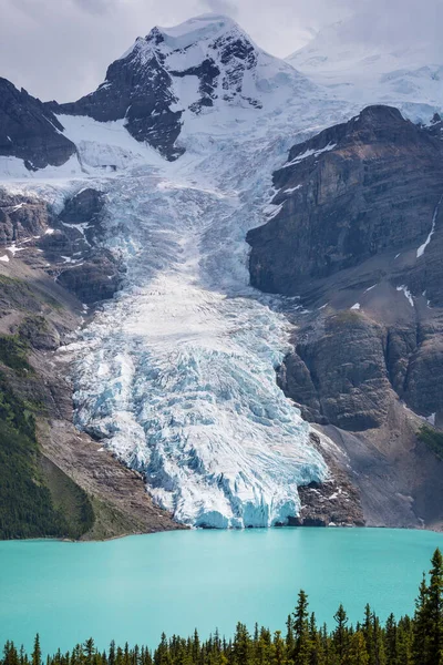 Beau Lac Berg Mont Robson Saison Estivale Canada — Photo