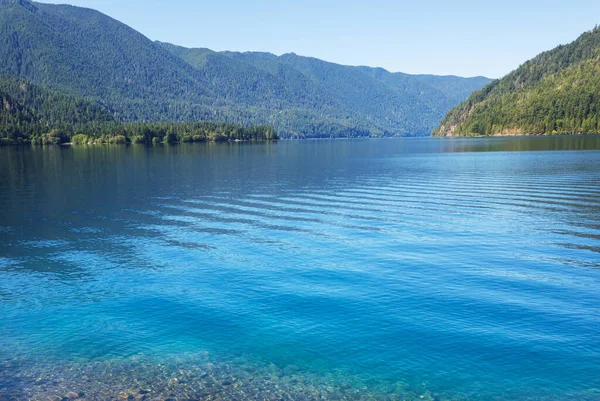 Lake Crescent Olympic National Park Washington Usa — Stockfoto