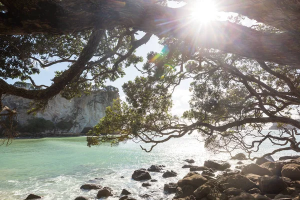 Beautiful landscapes it the Ocean Beach, New Zealand. Inspiring natural and travel background