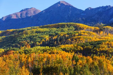 Colorado, ABD 'de renkli bir sonbahar. Sonbahar sezonu.