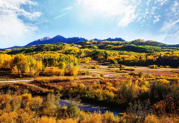 Automne Jaune Coloré Dans Colorado États Unis Saison Automne — Photo