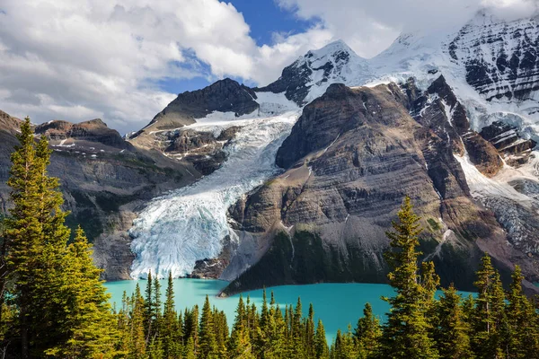 Hermoso Lago Berg Monte Robson Temporada Verano Canadá — Foto de Stock