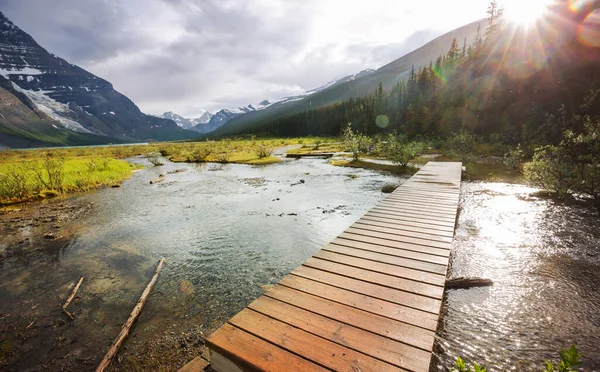 Vista Para Uma Ponte Trilha Caminhadas Nas Montanhas Canadenses — Fotografia de Stock