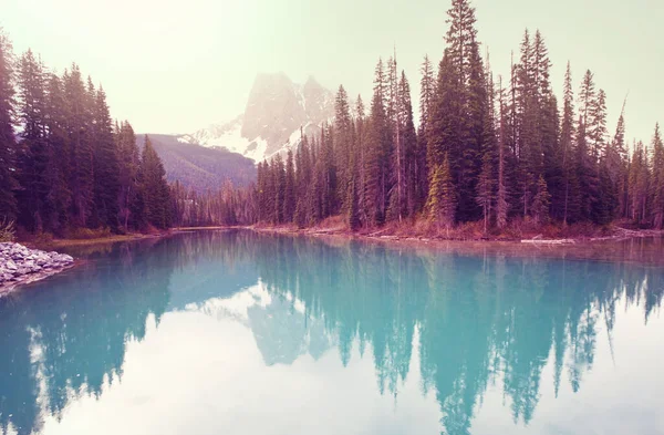 加拿大尤荷国家公园的宁静翡翠湖 Instagram过滤器 — 图库照片
