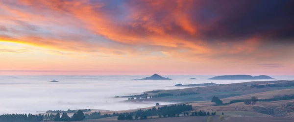 Удивительные Туманные Сельские Пейзажи Утрам Новая Зеландия — стоковое фото
