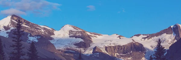 Picturesque Mountain View Canadian Rockies Summer Season — стокове фото