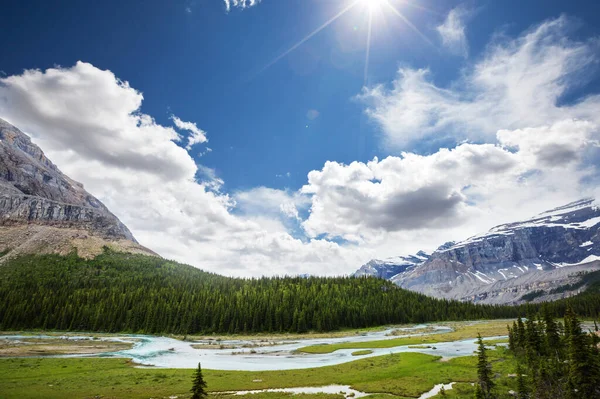 Γραφική Θέα Στο Βουνό Στο Canadian Rockies Κατά Θερινή Περίοδο — Φωτογραφία Αρχείου