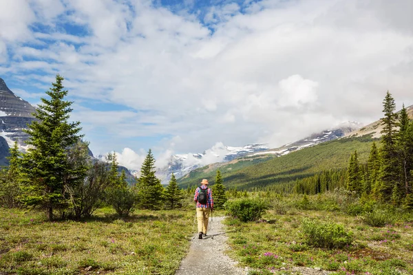 Turista Kanadských Horách Turistika Populární Rekreační Aktivita Severní Americe Spousta — Stock fotografie