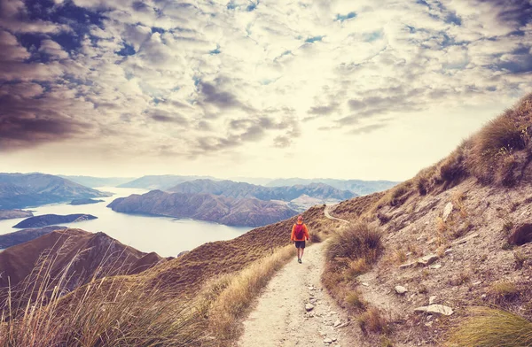 Caminata Viajeros Roys Peak Nueva Zelanda Lago Wanaka — Foto de Stock