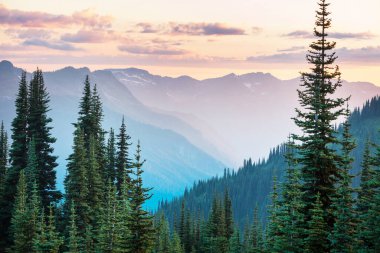 North Cascade Range, Washington / ABD 'de güzel bir dağ zirvesi.