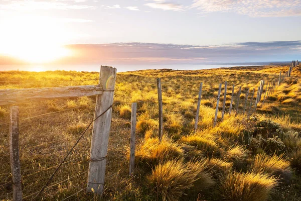 Costa Dell Oceano Pacifico Lungo Carretera Austral Patagonia Cile — Foto Stock