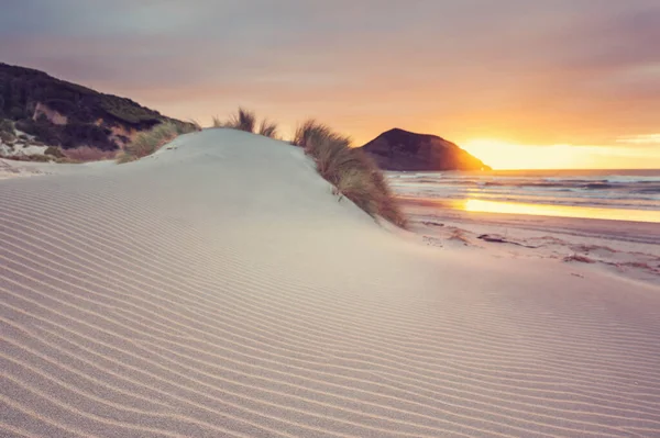 Zandduin Bij Pacifische Oceaan Strand Nieuw Zeeland — Stockfoto