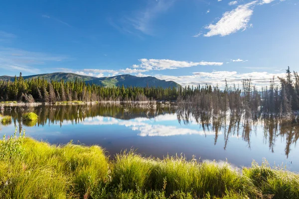 Serenity Lake Der Tundra Alaskas — Stockfoto