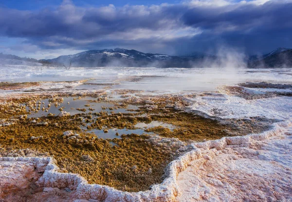 Mammoth Hot Springs Yellowstone Usa — Stock Photo, Image