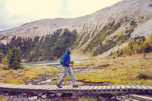 Kanada dağlarında yürüyüş yapan adam. Yürüyüş, Kuzey Amerika 'da popüler bir eğlence aktivitesidir. Bir sürü pitoresk yol var..