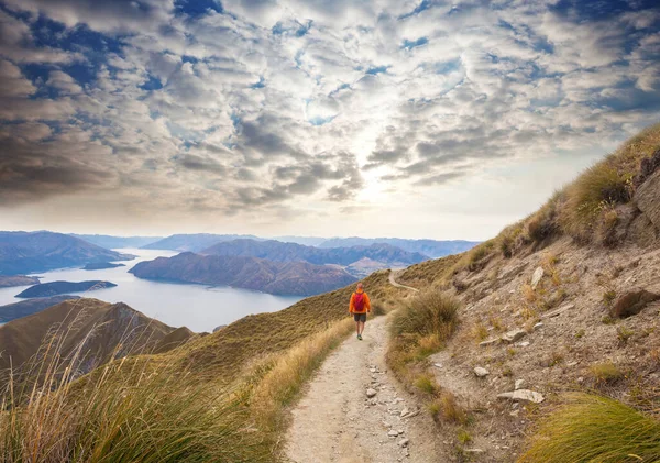 Reizigers Wandelen Roys Peak Nieuw Zeeland Meer Van Wanaka — Stockfoto