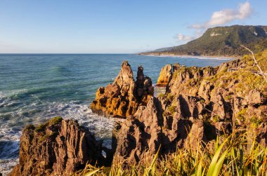 Paparoa Ulusal Parkı 'nda Punakaki Pancake Rocks, Batı Yakası, Güney Adası, Yeni Zelanda. Güzel doğal manzaralar.