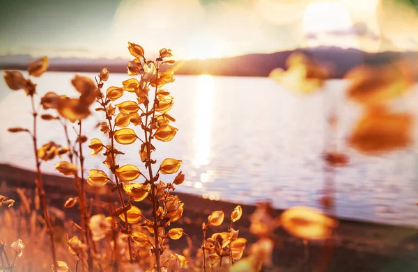 Krásné Jezero Podzimní Sezóně — Stock fotografie