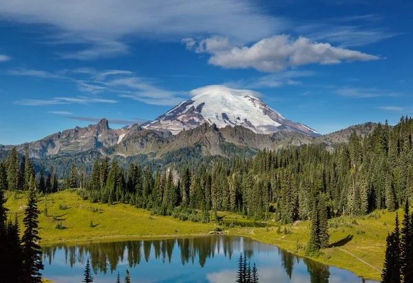 Parque Nacional Monte Rainier Washington — Foto de Stock