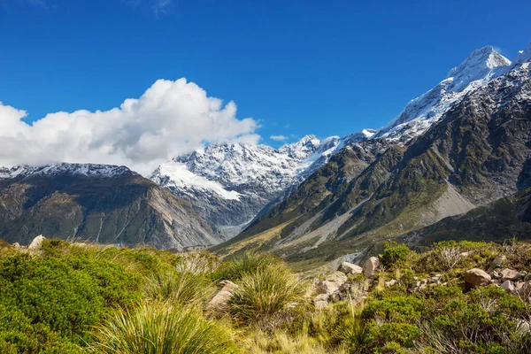 Cook Dağı Ulusal Parkı, Güney Adası, Yeni Zelanda 'da güzel doğal manzaralar.