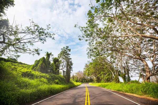 Uitzicht Landschap Langs Piilani Highway Maui Hawaiiaanse Eilanden — Stockfoto