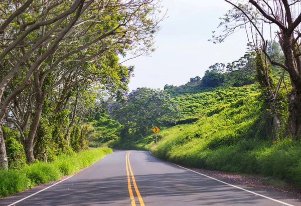 Vista Del Paisaje Largo Autopista Piilani Maui Islas Hawaianas —  Fotos de Stock