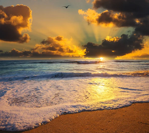 美丽多彩的落日在海滨 适用于墙纸或背景图片 美丽的自然景观 — 图库照片