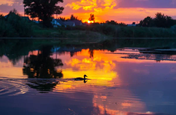 Solnedgång Scen Sjön Vid Solnedgången Höst Natur Landskap — Stockfoto