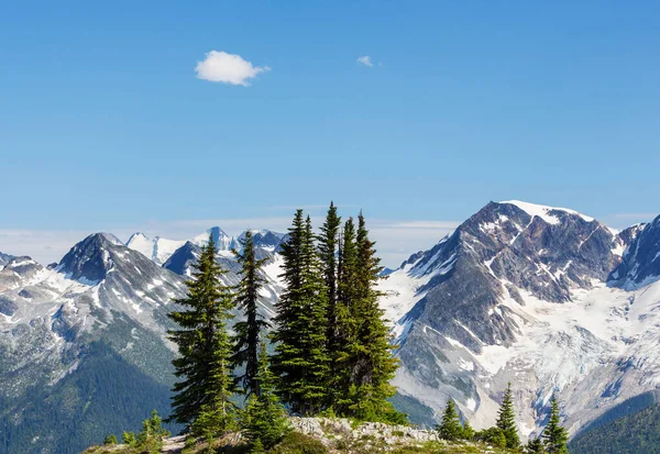 Pittoresca Vista Sulle Montagne Rocciose Canadesi Nella Stagione Estiva — Foto Stock