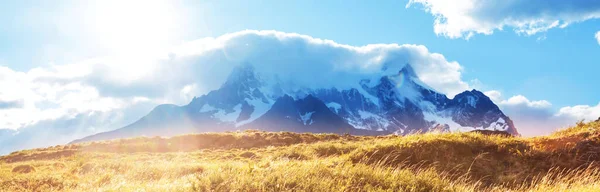 Gyönyörű Hegyvidéki Tájak Guanaco Torres Del Paine Nemzeti Parkban Chilében — Stock Fotó