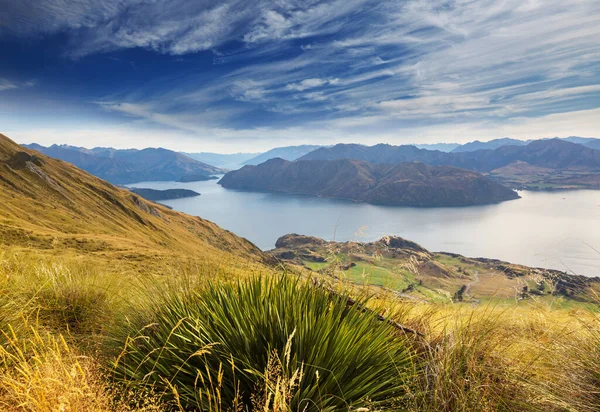 Πεζοπορία Ταξιδιωτών Στο Roys Peak Νέα Ζηλανδία Λίμνη Γουανάκα — Φωτογραφία Αρχείου