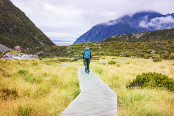 Caminhante Belas Montanhas Perto Mount Cook Nova Zelândia Ilha Sul — Fotografia de Stock