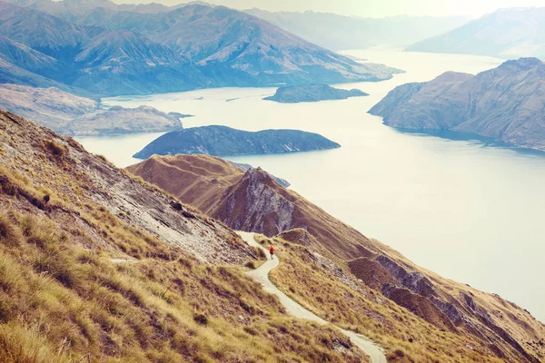 Reizigers Wandelen Roys Peak Nieuw Zeeland Meer Van Wanaka — Stockfoto