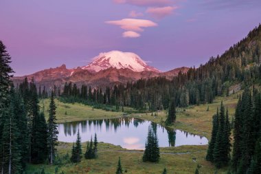 Mount Rainier Ulusal Parkı, Washington