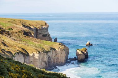 Ocean Beach, Yeni Zelanda 'da güzel manzaralar var. İlham verici doğal ve seyahat geçmişi